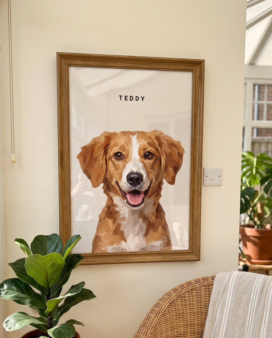 Teddy - Kent, UK