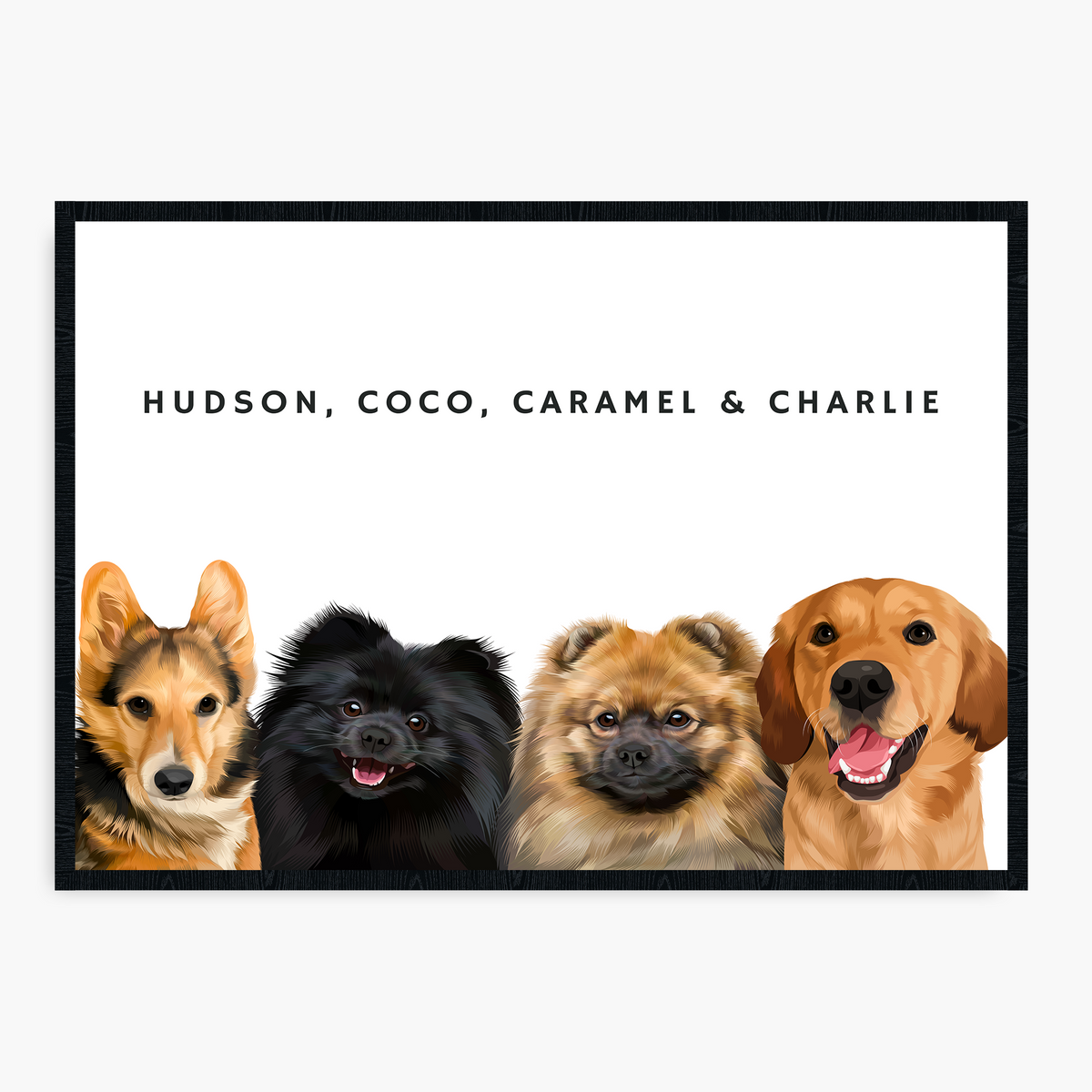 Modern Hand-Drawn Pet Portrait