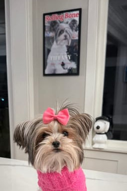 Tiffany